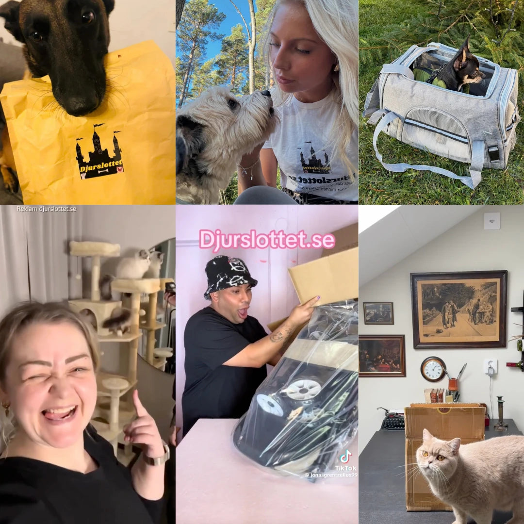 Djurslottet influenser samarbeten