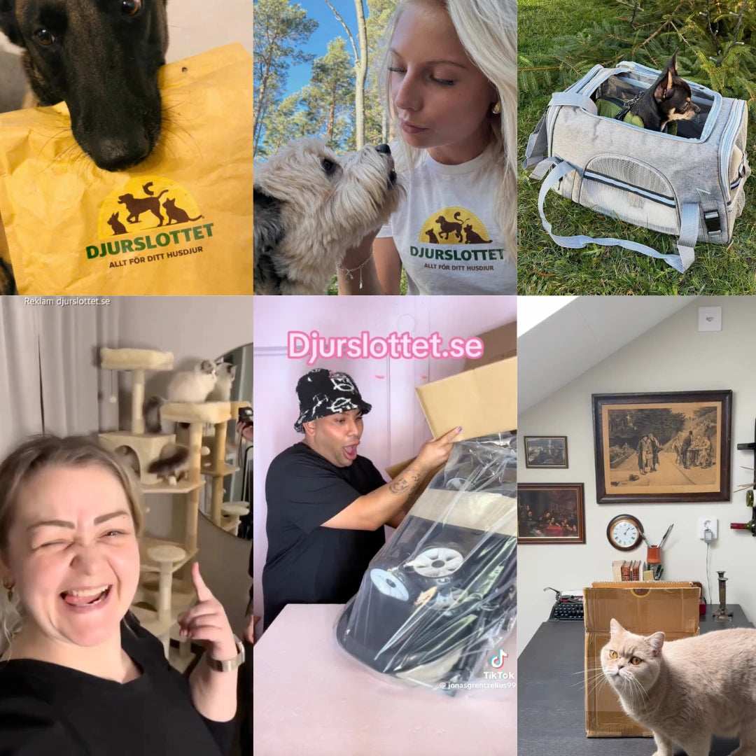 Djurslottet influencer samarbeten