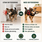 DogHalo skyddssele med justerbar passform - Djurslottet