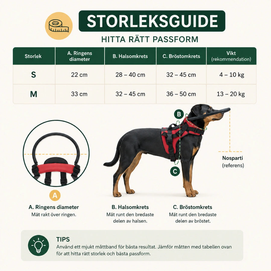 Mätpunkter och storlekstabell för DogHalo skyddssele till blind hund.