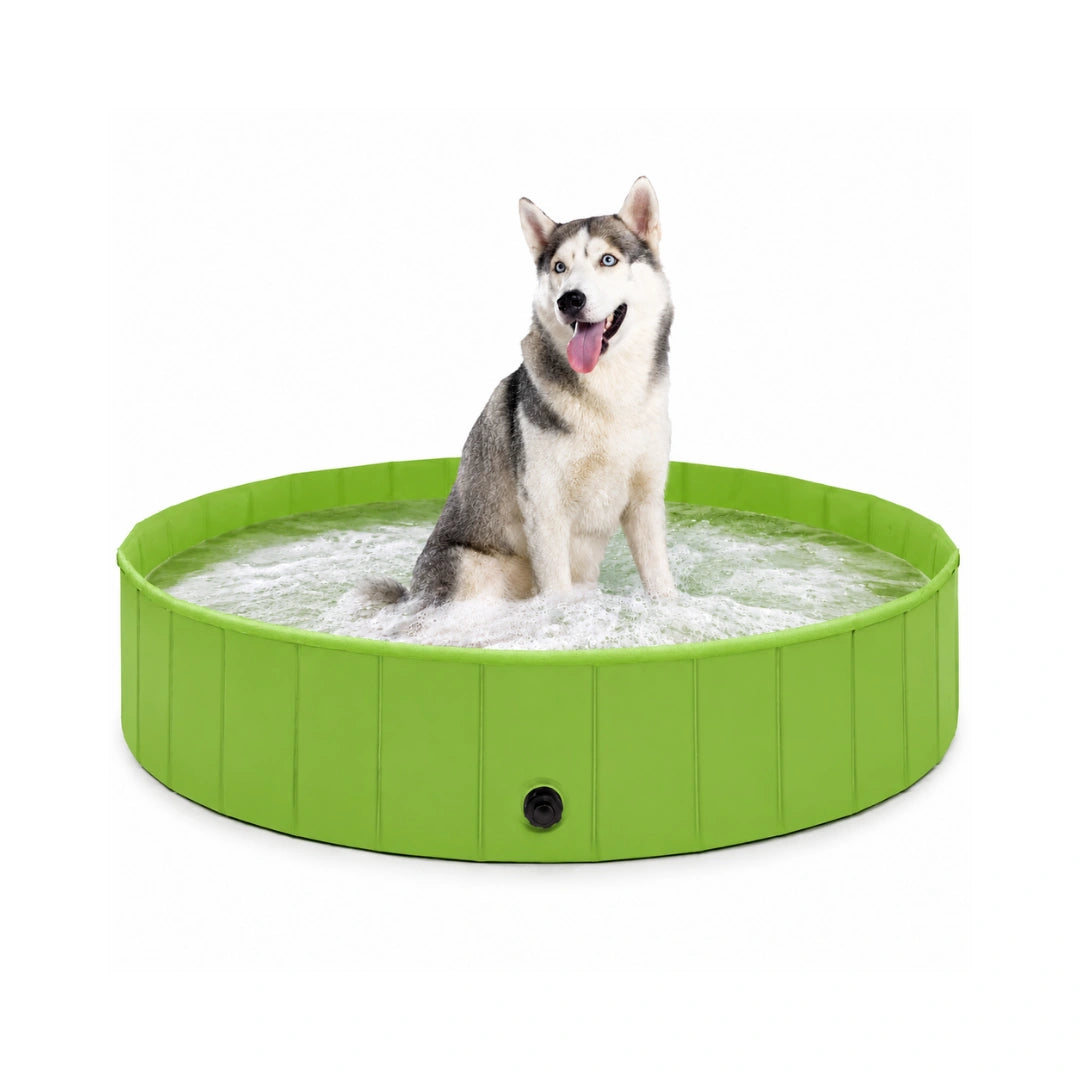 DoggyDip Hundpool Grön - Djurslottet
