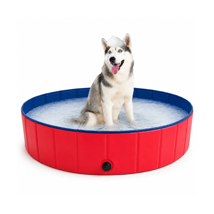 DoggyDip Hundpool Röd - Djurslottet
