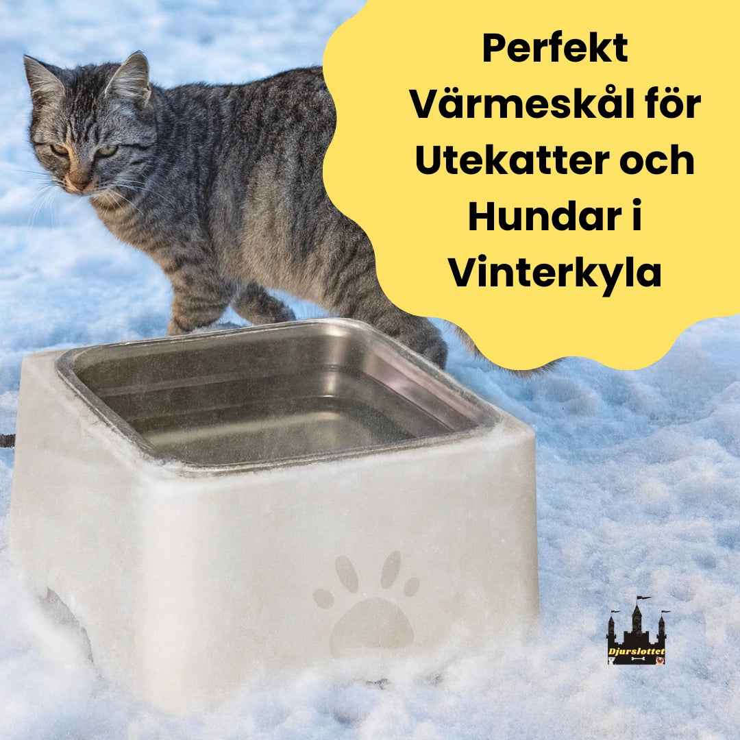 Eluppvärmd vattenskål Perfekt Värmeskål för Utekatter och Hundar i Vinterkyla - Djurslottet