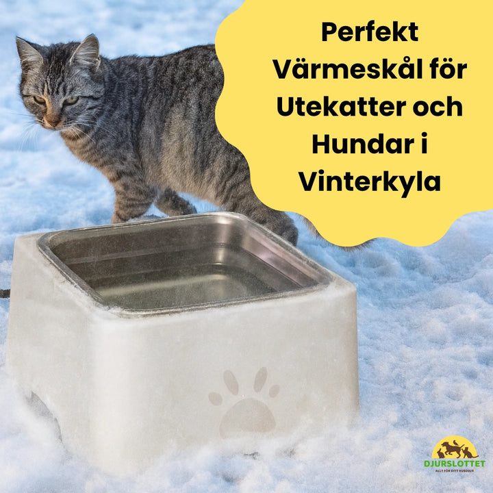 Eluppvärmd vattenskål Perfekt Värmeskål för Utekatter och Hundar i Vinterkyla Djurslottet