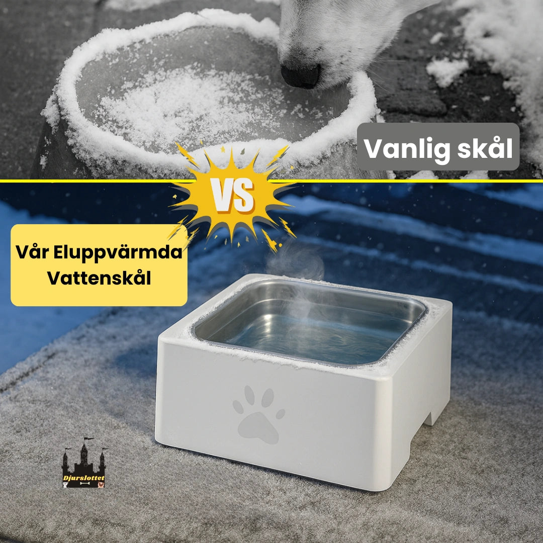 Eluppvärmd vattenskål Vår Eluppvärmda Vattenskål - Djurslottet