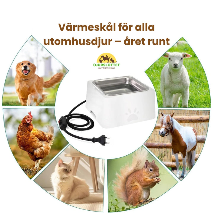 Eluppvärmd vattenskål Värmeskål för alla utomhusdjur – året runt Djurslottet
