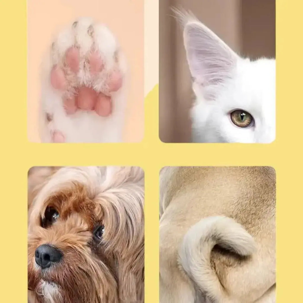 Extrablad till Silvetti Tasstrimmer Säker trimming - Djurslottet