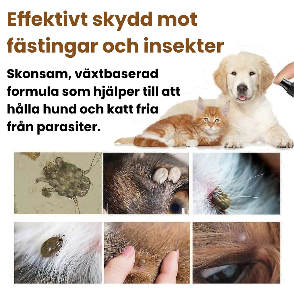 Fästingspray för hund och katt Effektivt skydd mot fästingar och insekter - Djurslottet