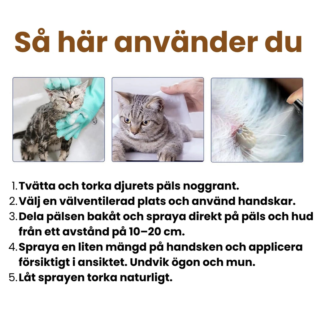 Fästingspray för hund och katt Så här använder du - Djurslottet