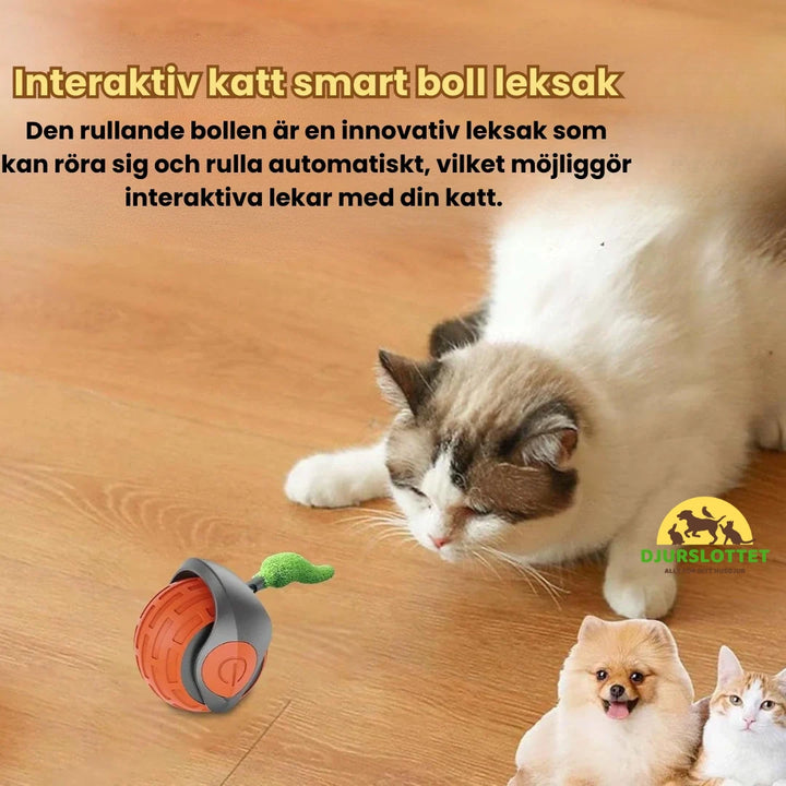Felineo Spinball 2.0 Kattleksak Interaktiv katt smart boll leksak -Djurslotet
