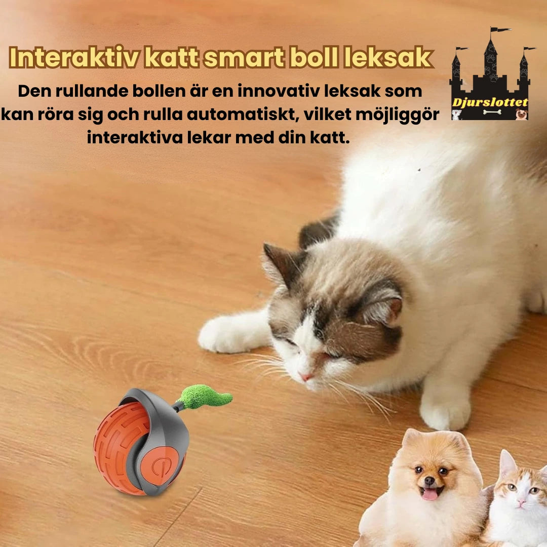 Felineo Spinball 2.0 Kattleksak Interaktiv katt smart boll leksak - Djurslotet