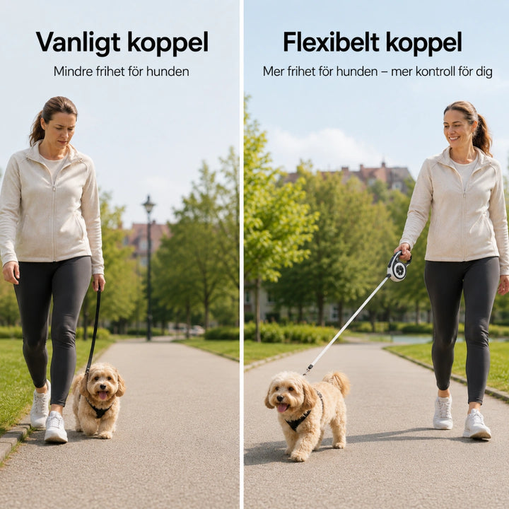 FlexiPet infällbar koppel vanligt - Djurslottet