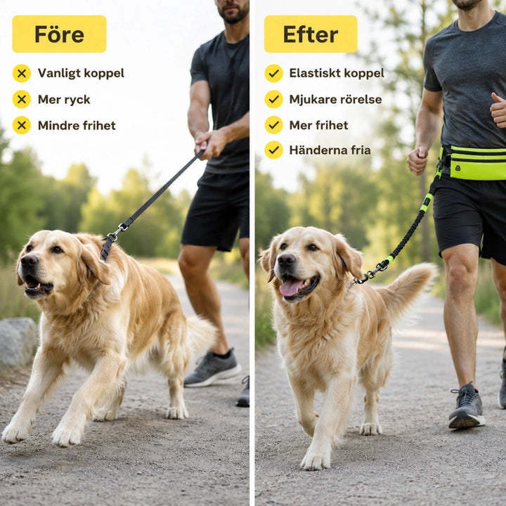 Flexura Hundkoppel med midjeväska efter - Djurslottet