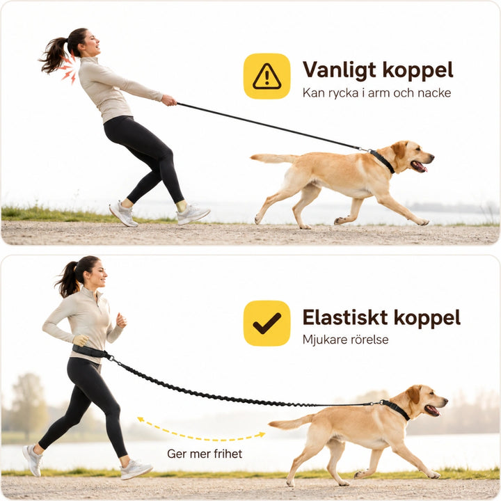Flexura Hundkoppel med midjeväska elastiskt - Djurslottet