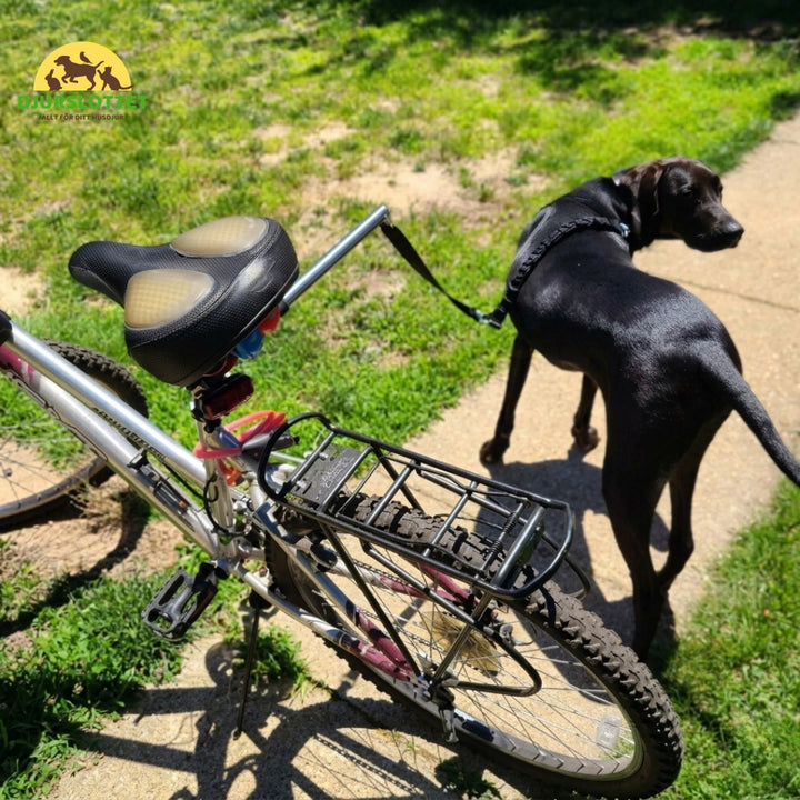 Flexura Hundkoppel till cykel Slitstark söm för trygg användning - Djurslottet