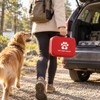 Första Hjälpen-kit - Hund på väg till bilen - Djurslottet