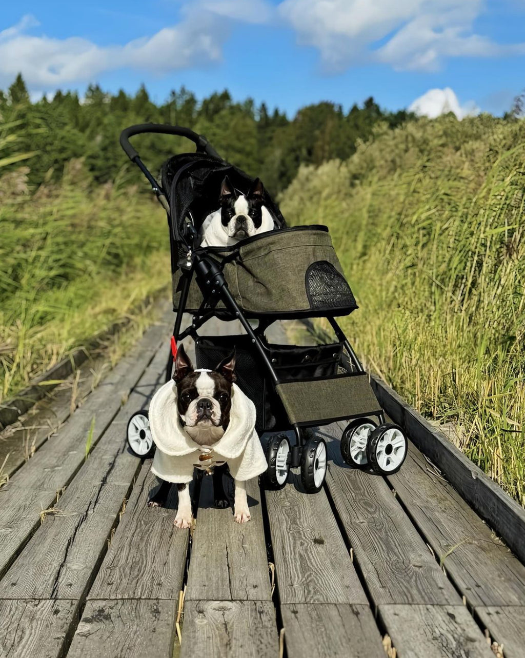 Hopfällbar Husdjursvagn - Djurslottet