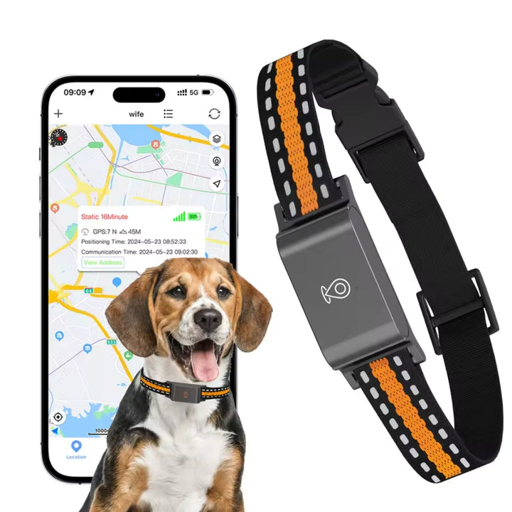 GPS Halsband för Husdjur - Djurslottet