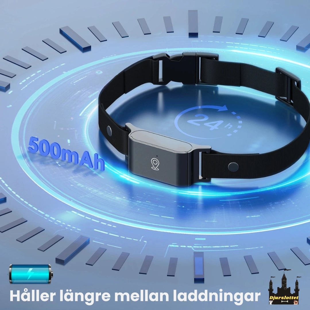 GPS Halsband för Husdjur Håller längre mellan laddningar - Djurslottet