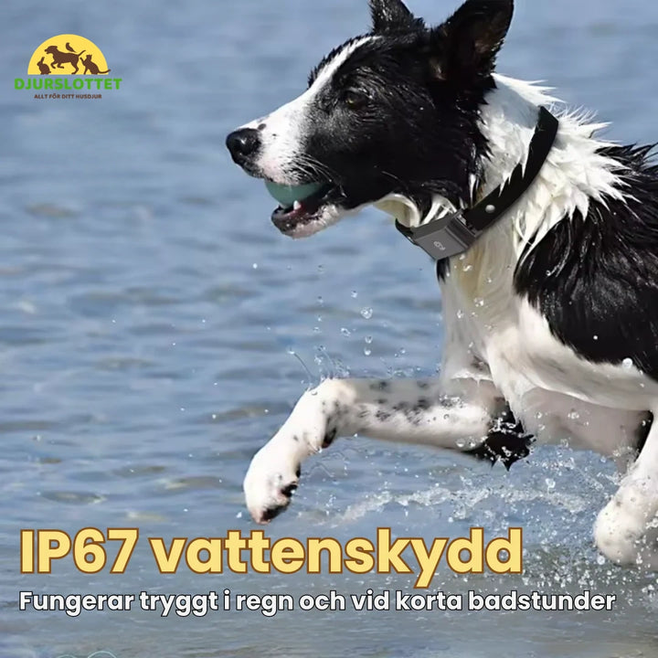 GPS Halsband för Husdjur IP67 vattenskydd -Djurslottet