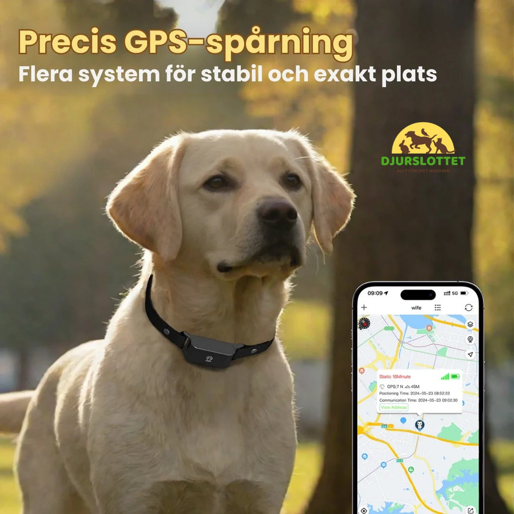 GPS Halsband för Husdjur Precis GPS-spårning -Djurslottet