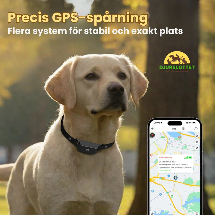 GPS Halsband för Husdjur Precis GPS-spårning -Djurslottet