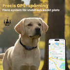 GPS Halsband för Husdjur Precis GPS-spårning - Djurslottet