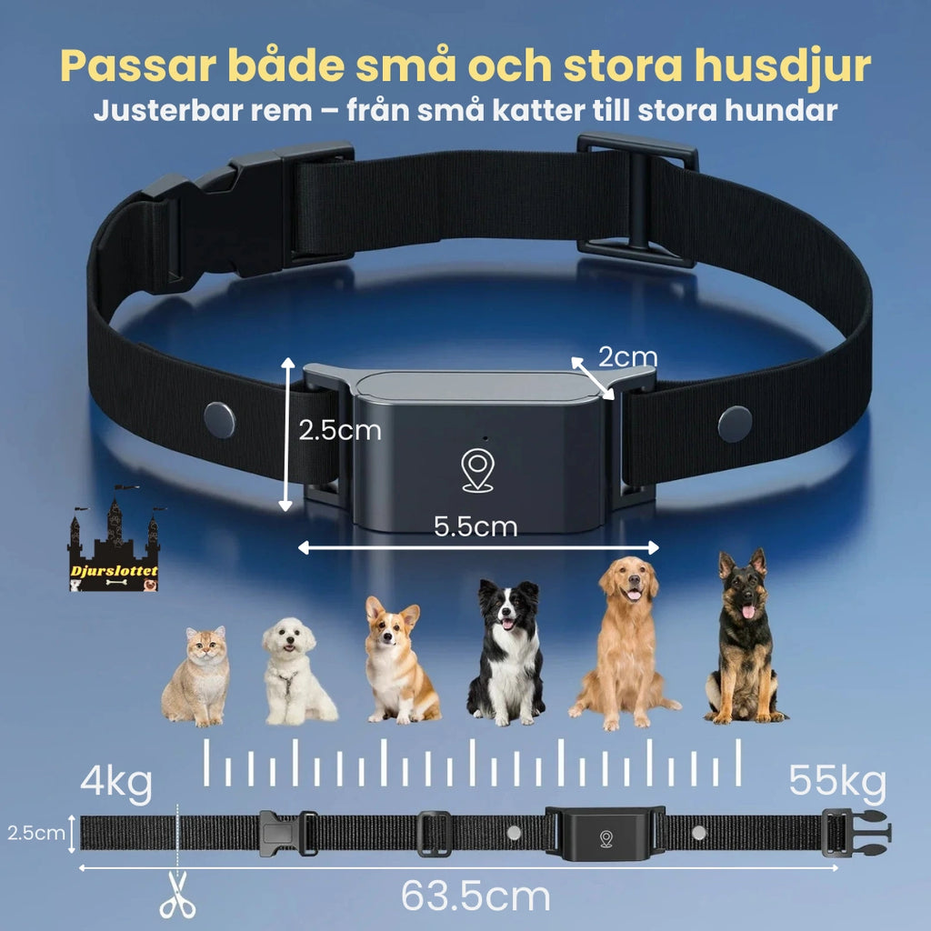 GPS Halsband för Husdjur Produkstorlek - Djurslottet