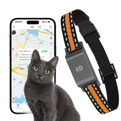 GPS halsband för hund och katt - Djurslottet