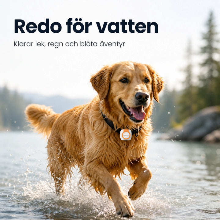 Petracka GPS Tracker IP67 vattentät katt och hund - Djurslottet