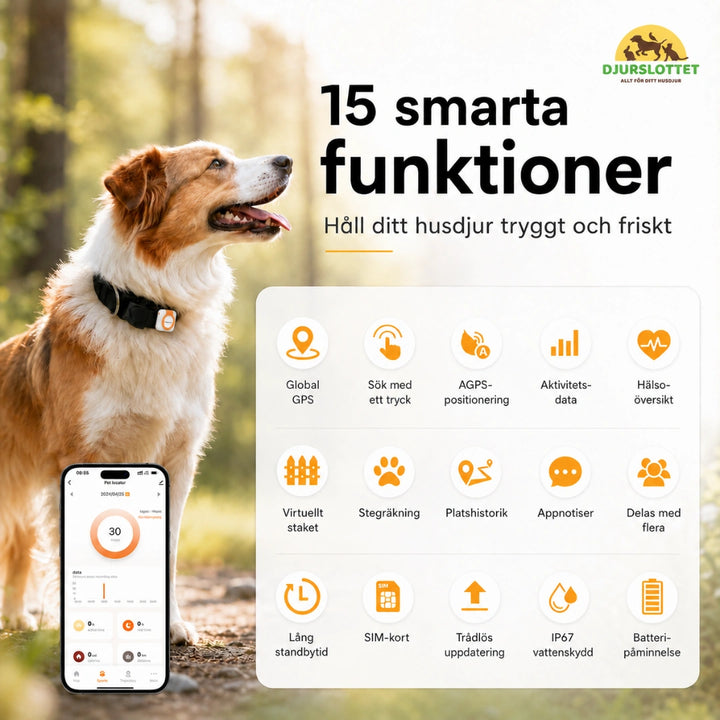 Petracka GPS Tracker smarta funktioner realtid - Djurslottet