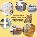 Genomskinligt Möbelskydd Stilrent klöskydd - Djurslottet