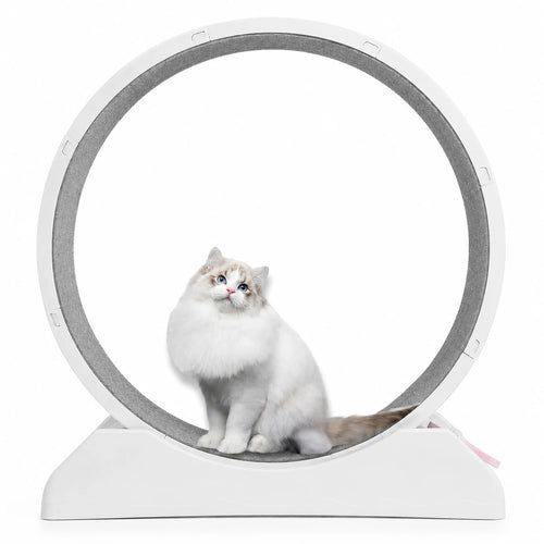Katthjul med grå matta och vit ram från Djurslottet, där en fluffig katt sitter i träningshjulet mot vit bakgrund.