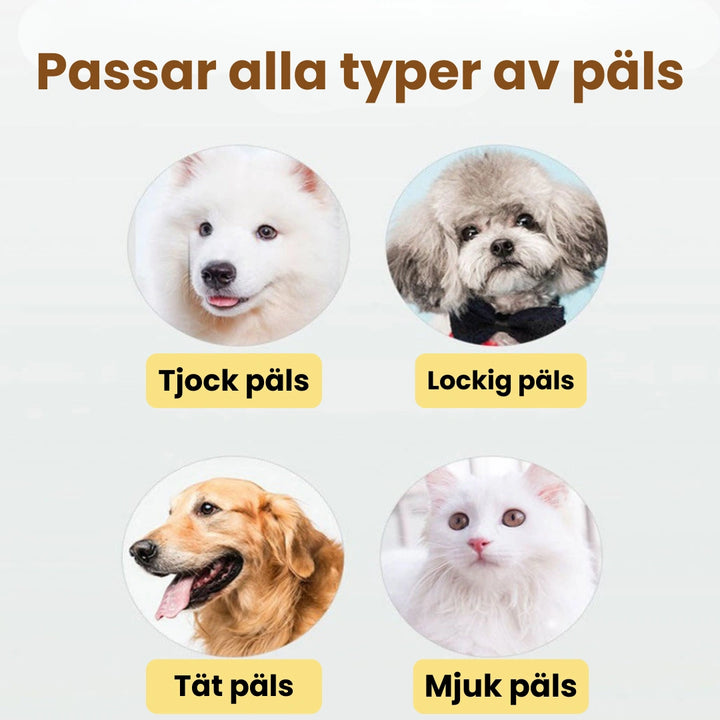 Grooming kit  Passar alla typer av päls - Djurslottet