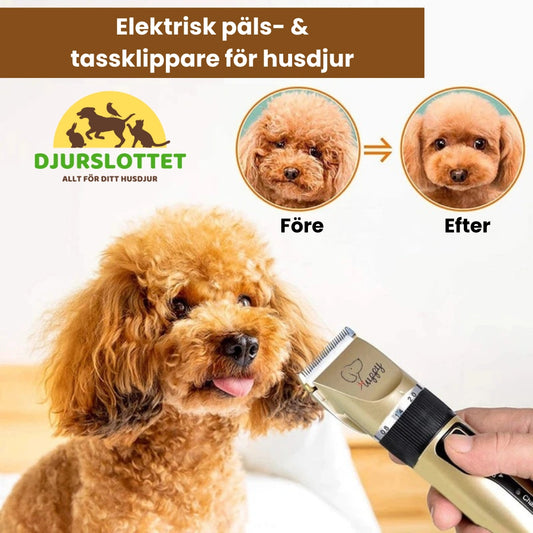 Grooming kit före och efter - Djurslottet