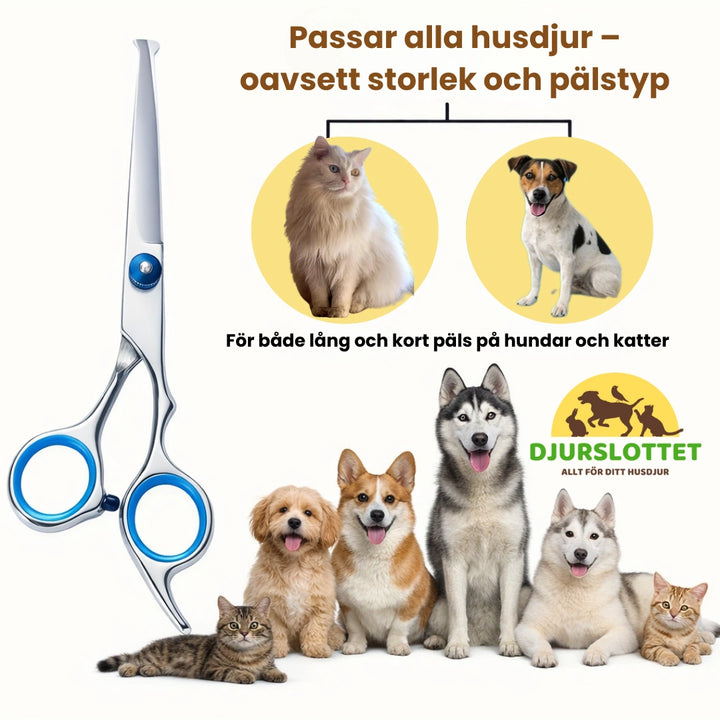 Groomingkit för husdjur Passar alla husdjur – oavsett storlek och pälstyp - Djurslottet