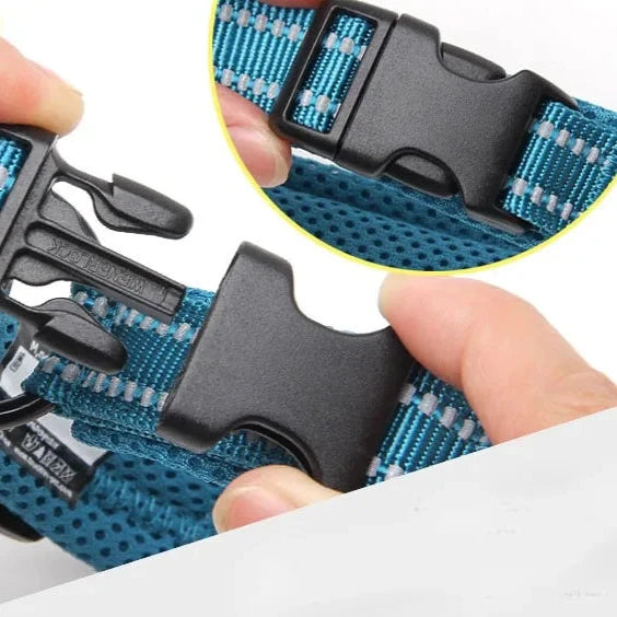 Reflexfit Justerbar Hundhalsband - Djurslottet