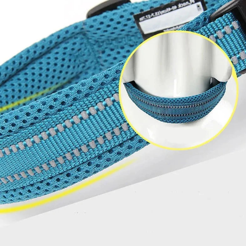 Reflexfit Justerbar Hundhalsband - Djurslottet