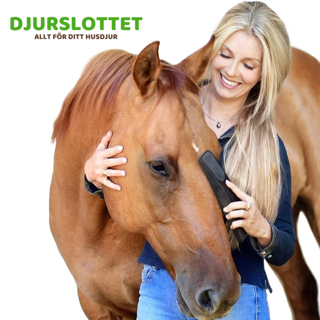 Hästborste Skonsam men kraftfull rengöring - Djurslottet