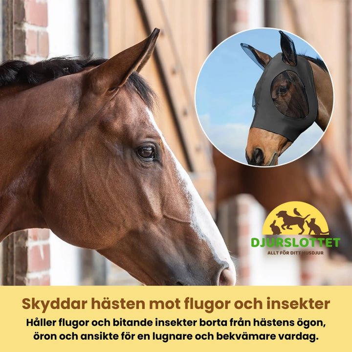 Hästmask med öronskydd Skyddar hästen mot flugor och insekter - Djurslottet