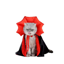 Halloweenkostym för katt