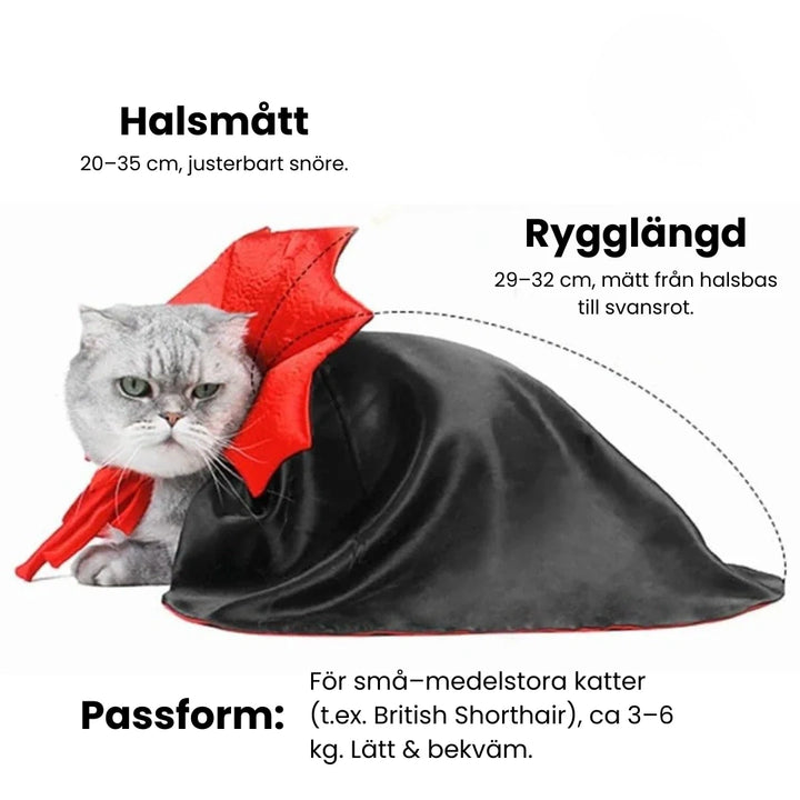 Halloweenkostym för katt halsmÅtt Djurslottet 