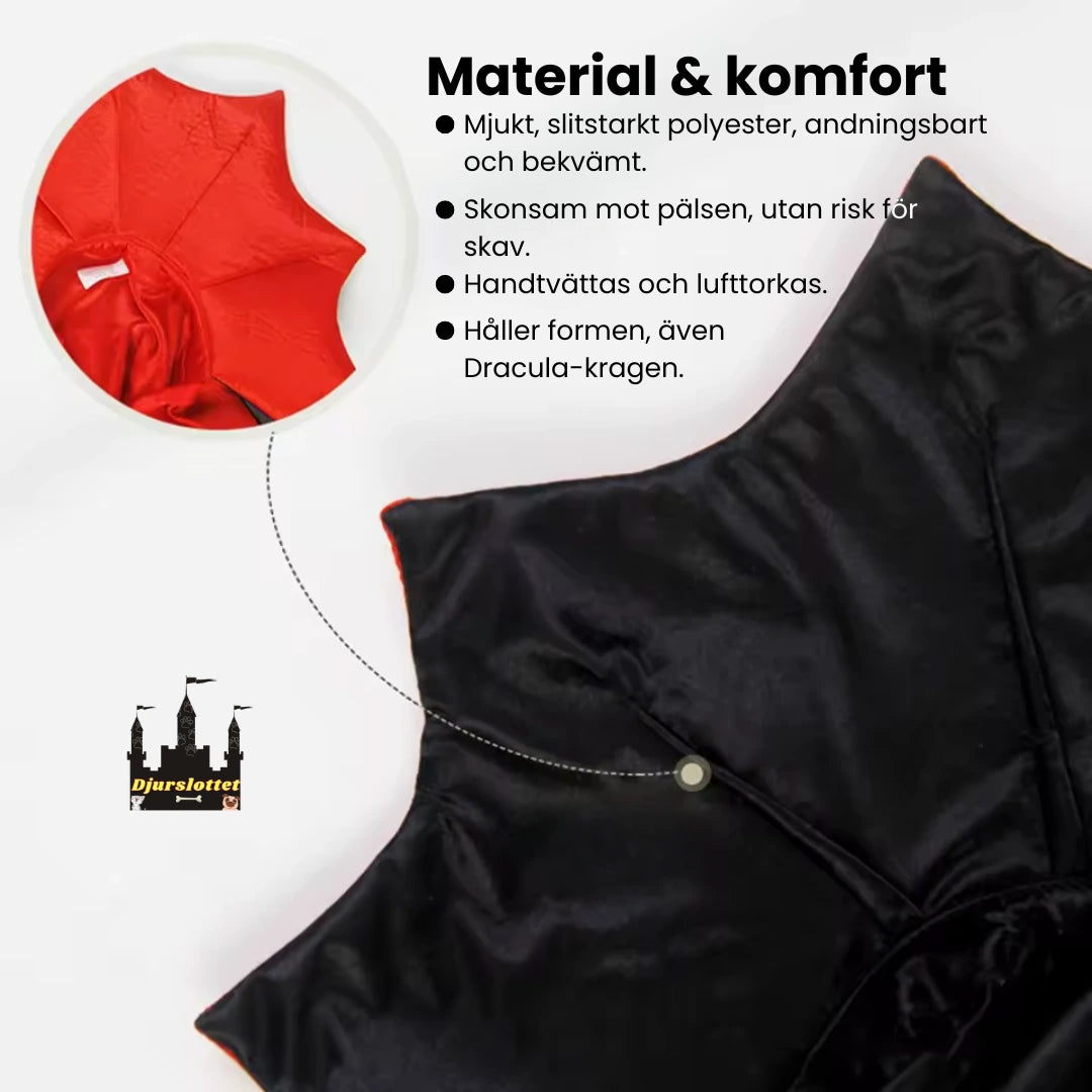 Halloweenkostym för katt material & comfort - Djurslottet 