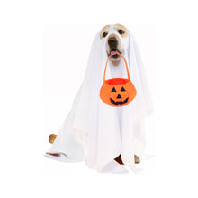 Halloweenkostym med pumpakorg för hund