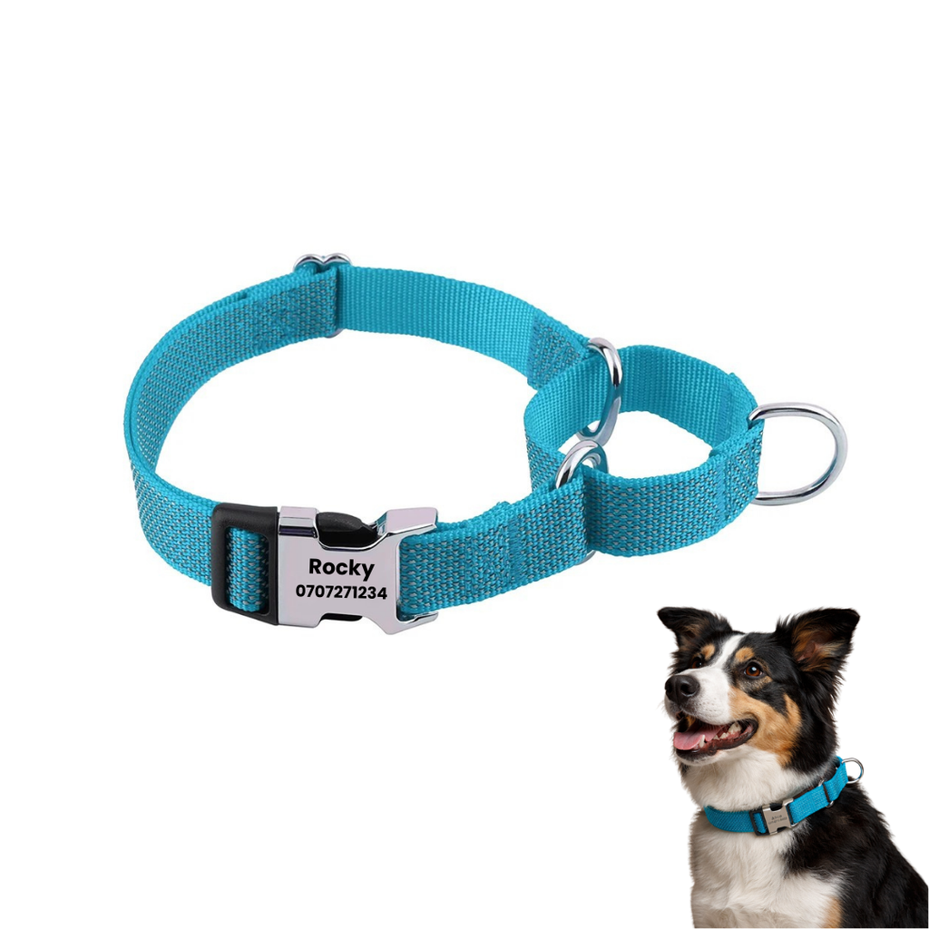 Halvstryp halsband med personlig gravyr Blå -Djurslottet