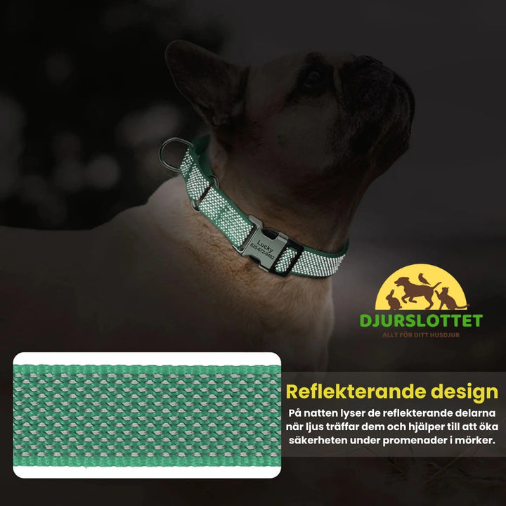 Halvstryp halsband med personlig gravyr Reflekterande design - Djurslottet