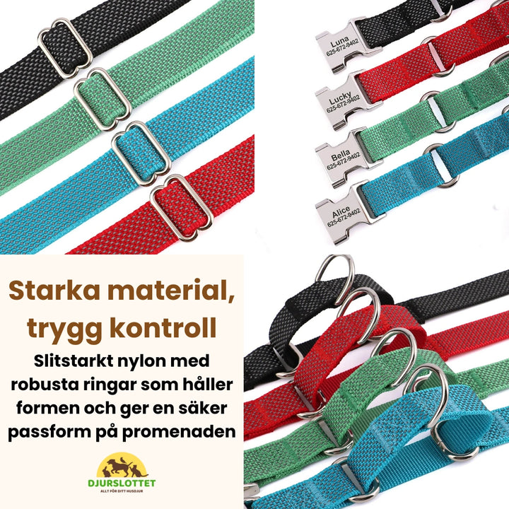 Halvstryp halsband med personlig gravyr Starka material, trygg kontroll - Djurslottet