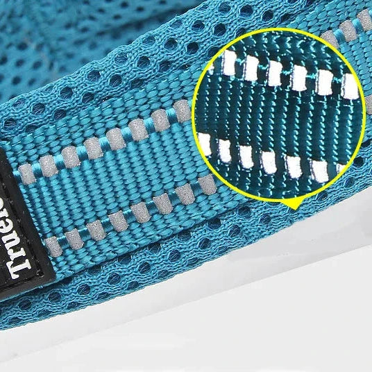 Reflexfit Justerbar Hundhalsband - Djurslottet