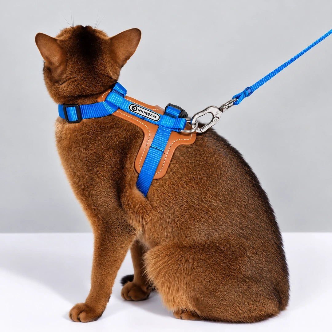 HiDream Leather Series kattsele - Blå sele på sittande brun katt sedd bakifrån - Djurslottet