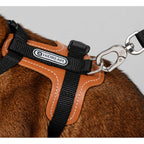 HiDream Leather Series kattsele - Närbild av svart sele med bruna detaljer och metallhake - Djurslottet